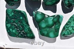 WHOLESALE Poilshed Malachite from Congo 10 pieces 3 kg # 5264