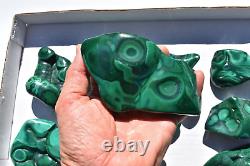 WHOLESALE Poilshed Malachite from Congo 11 pieces 3 kg # 5267