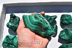 WHOLESALE Poilshed Malachite from Congo 11 pieces 3 kg # 5267