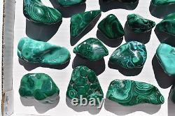 WHOLESALE Poilshed Malachite from Congo 20 pieces 2 kg # 5263