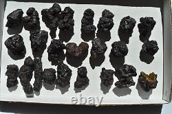 WHOLESALE Prophecy Stone Hematite Pseudomorph from Egypt 24 pieces 2 kg # 5338