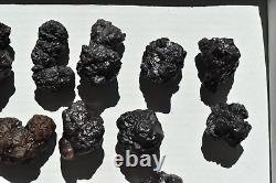 WHOLESALE Prophecy Stone Hematite Pseudomorph from Egypt 24 pieces 2 kg # 5338