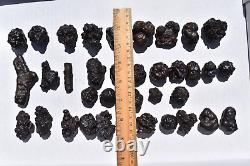 WHOLESALE Prophecy Stone Hematite Pseudomorph from Egypt 36 pieces 1 kg # 5357