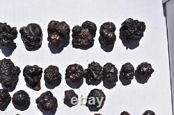 WHOLESALE Prophecy Stone Hematite Pseudomorph from Egypt 36 pieces 1 kg # 5357