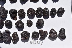 WHOLESALE Prophecy Stone Hematite Pseudomorph from Egypt 36 pieces 1 kg # 5357