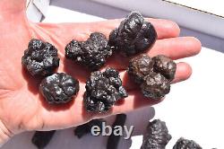 WHOLESALE Prophecy Stone Hematite Pseudomorph from Egypt 36 pieces 1 kg # 5357
