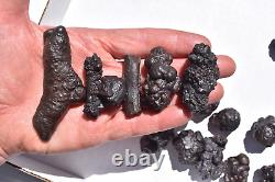 WHOLESALE Prophecy Stone Hematite Pseudomorph from Egypt 36 pieces 1 kg # 5357
