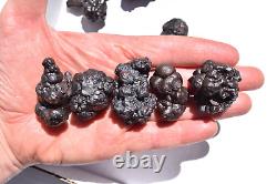 WHOLESALE Prophecy Stone Hematite Pseudomorph from Egypt 36 pieces 1 kg # 5357