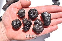 WHOLESALE Prophecy Stone Hematite Pseudomorph from Egypt 36 pieces 1 kg # 5357