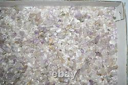 WHOLESALE Small Amethyst Quartz Crystals from Vera Cruz, Mexico 1 kg # 5210