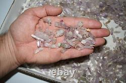 WHOLESALE Small Amethyst Quartz Crystals from Vera Cruz, Mexico 1 kg # 5210