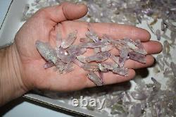 WHOLESALE Small Amethyst Quartz Crystals from Vera Cruz, Mexico 1 kg # 5210