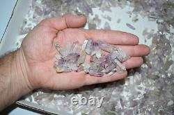 WHOLESALE Small Amethyst Quartz Crystals from Vera Cruz, Mexico 1 kg # 5210