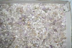 WHOLESALE Small Amethyst Quartz Crystals from Vera Cruz, Mexico 1 kg # 5475