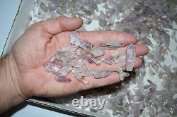 WHOLESALE Small Amethyst Quartz Crystals from Vera Cruz, Mexico 1 kg # 5475