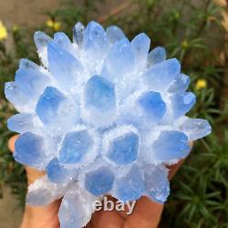 Wholesale 300G+ Raw Phantom Crystal Cluster Hole Specimen Decoration 5 Pcs Set