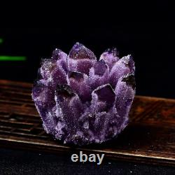 Wholesale 300G+ Raw Phantom Crystal Cluster Hole Specimen Decoration 5 Pcs Set
