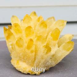 Wholesale 300G+ Raw Phantom Crystal Cluster Hole Specimen Decoration 5 Pcs Set