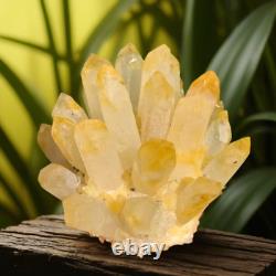 Wholesale 300G+ Raw Phantom Crystal Cluster Hole Specimen Decoration 5 Pcs Set