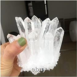 Wholesale 300G+ Raw Phantom Crystal Cluster Hole Specimen Decoration 5 Pcs Set