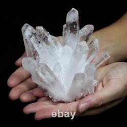 Wholesale 300G+ Raw Phantom Crystal Cluster Hole Specimen Decoration 5 Pcs Set