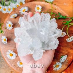 Wholesale 300G+ Raw Phantom Crystal Cluster Hole Specimen Decoration 5 Pcs Set