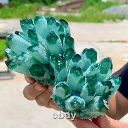 Wholesale 300G+ Raw Phantom Crystal Cluster Hole Specimen Decoration 5 Pcs Set