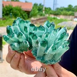 Wholesale 300G+ Raw Phantom Crystal Cluster Hole Specimen Decoration 5 Pcs Set