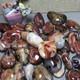 Wholesale 5kg Crazy Lace Silk Banded Agate Polished Crystal Specimen Tumbled