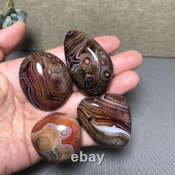 Wholesale 5kg Crazy Lace SILK Banded Agate Polished Crystal Specimen tumbled