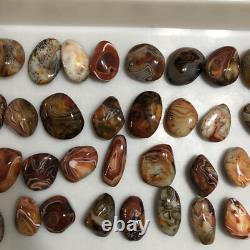 Wholesale 5kg Crazy Lace SILK Banded Agate Polished Crystal Specimen tumbled