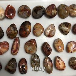 Wholesale 5kg Crazy Lace SILK Banded Agate Polished Crystal Specimen tumbled