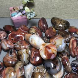 Wholesale 5kg Crazy Lace SILK Banded Agate Polished Crystal Specimen tumbled