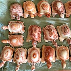 Wholesale 5pcs Natural Meat Pork Stone hand Carving Turtle specimen