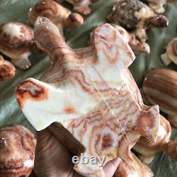 Wholesale 5pcs Natural Meat Pork Stone hand Carving Turtle specimen