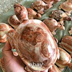 Wholesale 5pcs Natural Meat Pork Stone hand Carving Turtle specimen