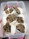 Wholesale 8 Piece Barite (baryte) Lot From Nador, Morocco, Mineral Flat