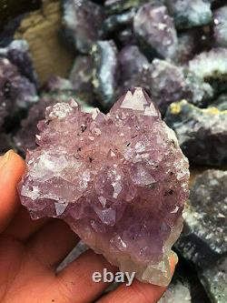 Wholesale Bulk 11 Lbs. (5 Kilo) Amethyst Clusters Brazil Best Price