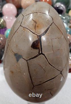 Wholesale Crystal Personal Collection Septarian HUGE Egg! Large Big 4 LBS