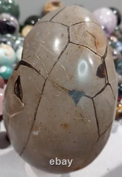 Wholesale Crystal Personal Collection Septarian HUGE Egg! Large Big 4 LBS