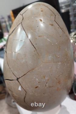 Wholesale Crystal Personal Collection Septarian HUGE Egg! Large Big 4 LBS