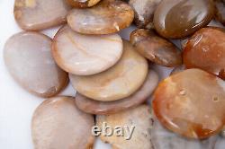 Wholesale Fossil Coral flat palm stones pocket polished tumbled 9.92 LBS #2150T
