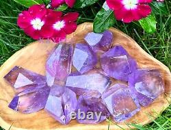 Wholesale Lot 2 Lbs Amethyst Freeform Crystal Healing Energy