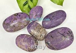 Wholesale Lot 2 Lbs Natural Purpurite Palm Stone Crystal Energy Healing