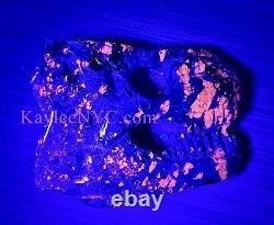 Wholesale Lot 2 PCs Natural Yooperlite Aka Emberlite Dinosaur Head