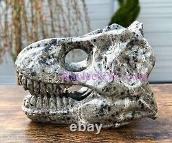 Wholesale Lot 2 PCs Natural Yooperlite Aka Emberlite Dinosaur Head