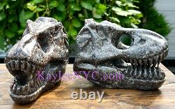 Wholesale Lot 2 PCs Natural Yooperlite Aka Emberlite Dinosaur Head