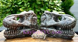 Wholesale Lot 2 PCs Natural Yooperlite Aka Emberlite Dinosaur Head