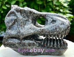 Wholesale Lot 2 PCs Natural Yooperlite Aka Emberlite Dinosaur Head