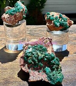 Wholesale Lot 3 PCs Natural Dioptase Raw Crystal Healing Energy